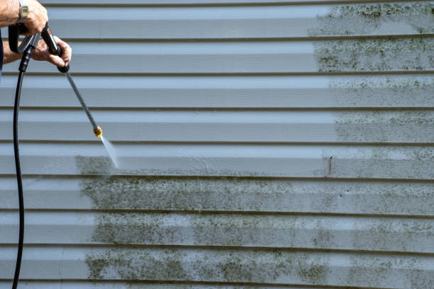 Property Management Cleanouts in Hurley, MS